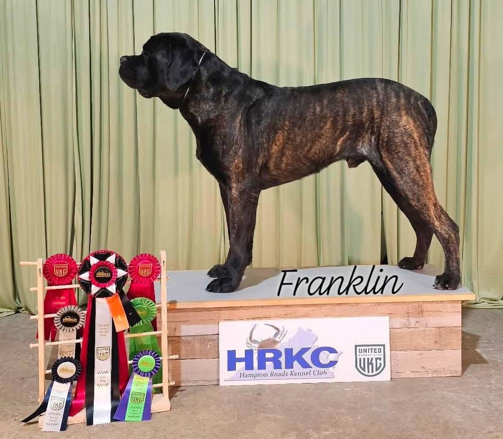 Franklin